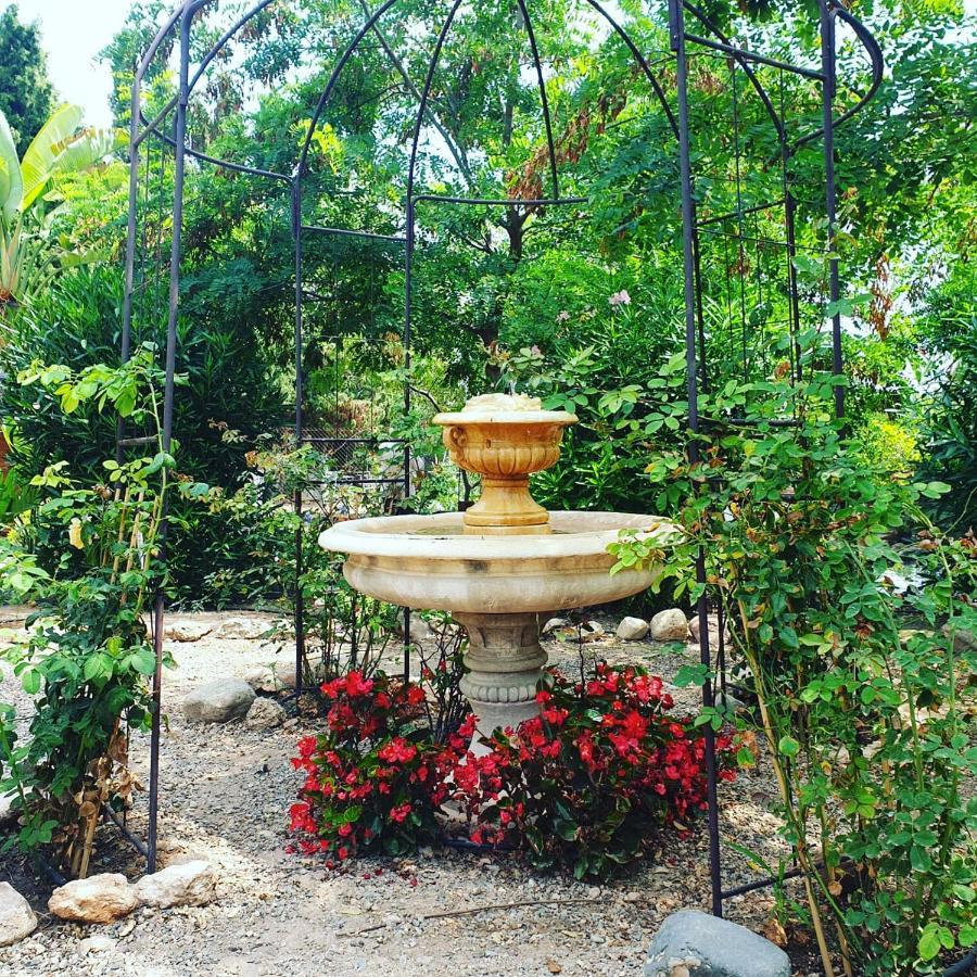Masia Castellvi B&B Vinyols i Els Arcs Εξωτερικό φωτογραφία